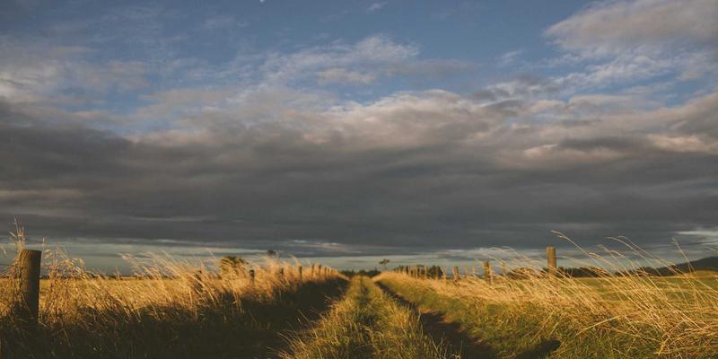 从战略到落地：某制造业巨头的数字化转型管理咨询案例分析