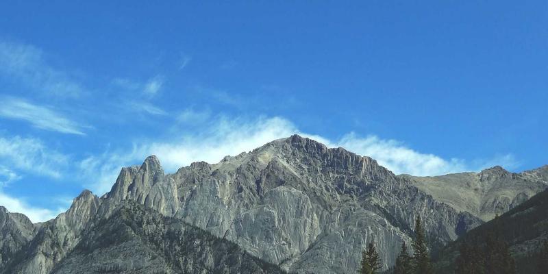 企业数字化转型新引擎：微服务架构的实施路径与运营优化策略