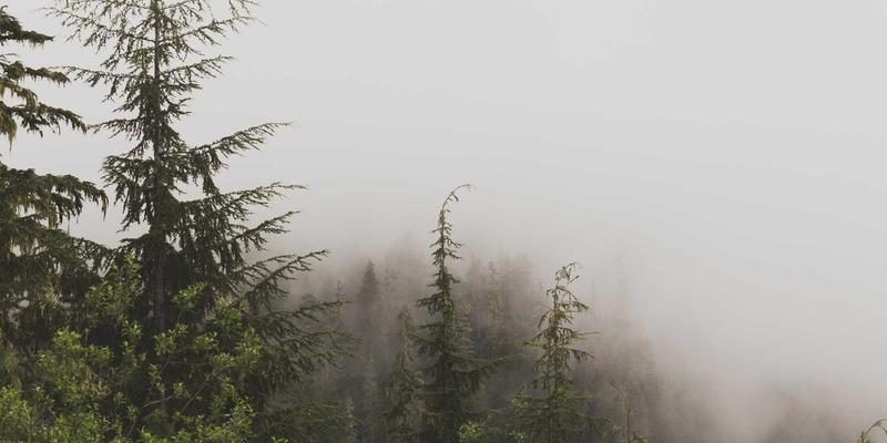 企业服务2.0时代：数字化转型、战略规划与工业管理的三位一体革新