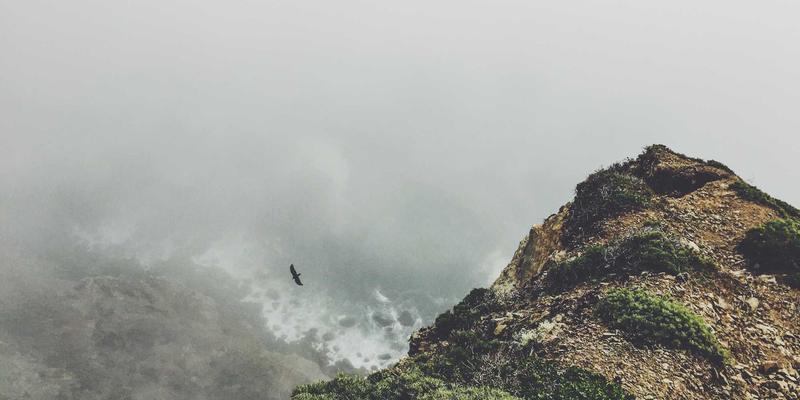 企业服务46：以运营优化与战略规划驱动增长的终极解决方案