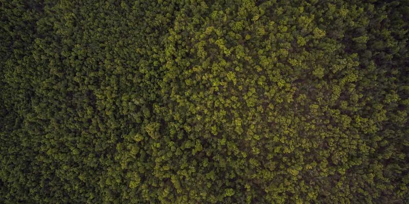 企业服务72：以运营优化与战略规划驱动可持续增长