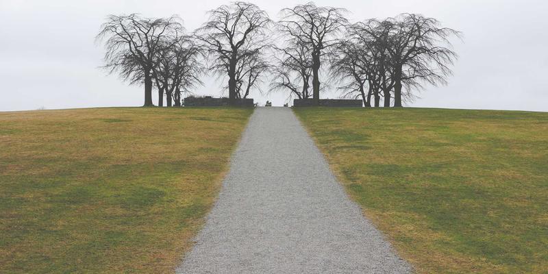 企业服务安全合规双轨制：GDPR与等保2.0下的数据保护实践与运营优化