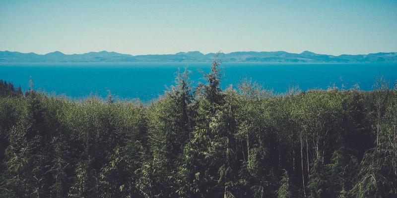 企业服务客户成功体系构建：从战略规划到最佳解决方案的完整路径