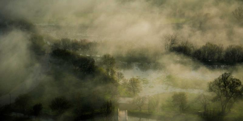 企业服务数字化转型：从运营优化到最佳解决方案的实践路径