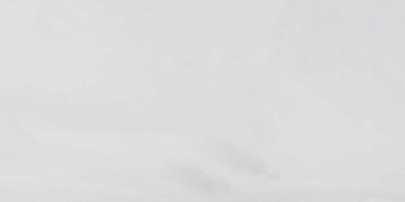 企业服务新纪元：如何通过管理咨询找到最佳解决方案