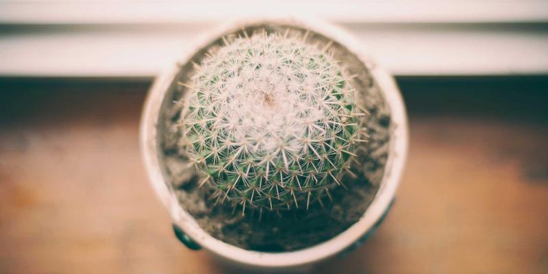 企业服务采购战略规划：在数字化转型中平衡技术与业务需求的最佳解决方案