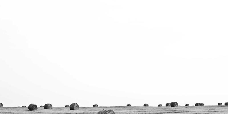 工业管理升级新引擎：管理咨询如何驱动企业运营优化与可持续增长