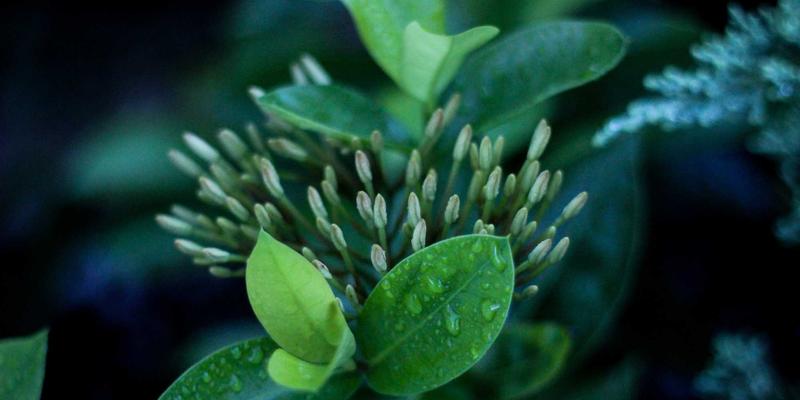 工业管理数字化转型：B2B企业营销自动化从潜客挖掘到商机转化的全链路战略规划