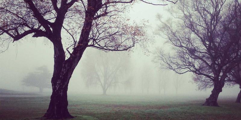 工业管理数字化转型：企业服务77如何重塑制造业核心竞争力