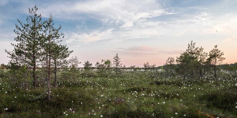 工业管理数字化转型：企业服务如何提供最佳解决方案