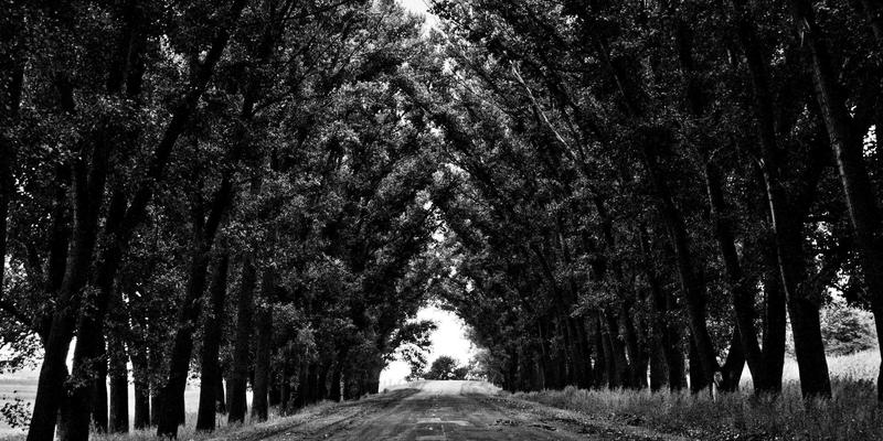 战略规划新视角：企业服务采购的ROI评估模型如何量化软件投资对业务增长的影响