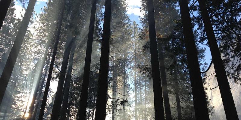 提升企业服务续约率与客户忠诚度的战略规划：基于客户成功的最佳解决方案