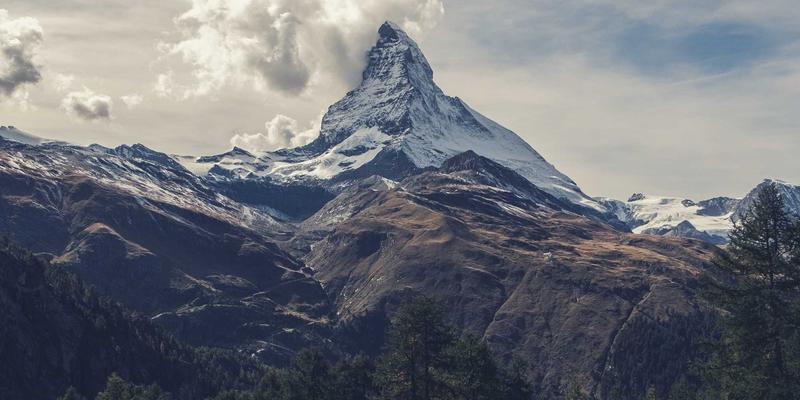管理咨询与战略规划：企业服务双引擎如何驱动可持续增长