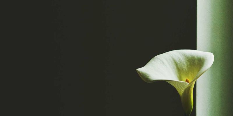 管理咨询如何为企业提供最佳解决方案，实现运营优化与持续增长