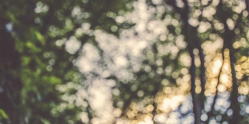 运营优化与工业管理：如何选择企业服务的最佳解决方案